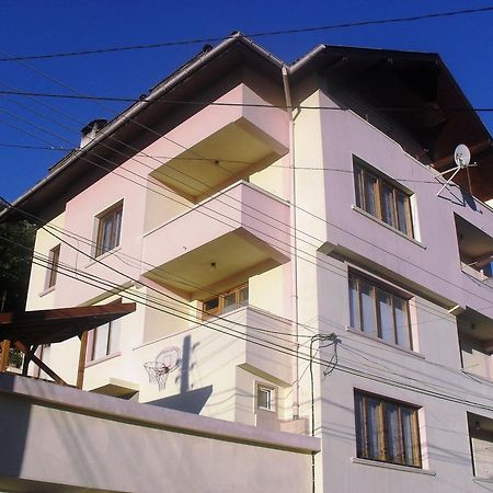 Vitosha Guest House Devin Kültér fotó